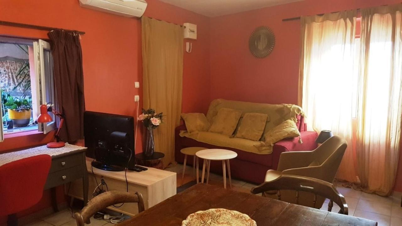 Petit Patio En Centre Ville Nîmes Zewnętrze zdjęcie