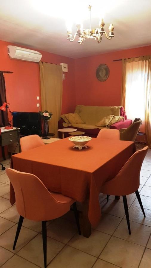 Petit Patio En Centre Ville Nîmes Zewnętrze zdjęcie