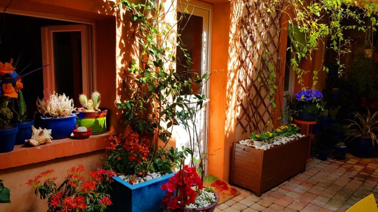 Petit Patio En Centre Ville Nîmes Zewnętrze zdjęcie