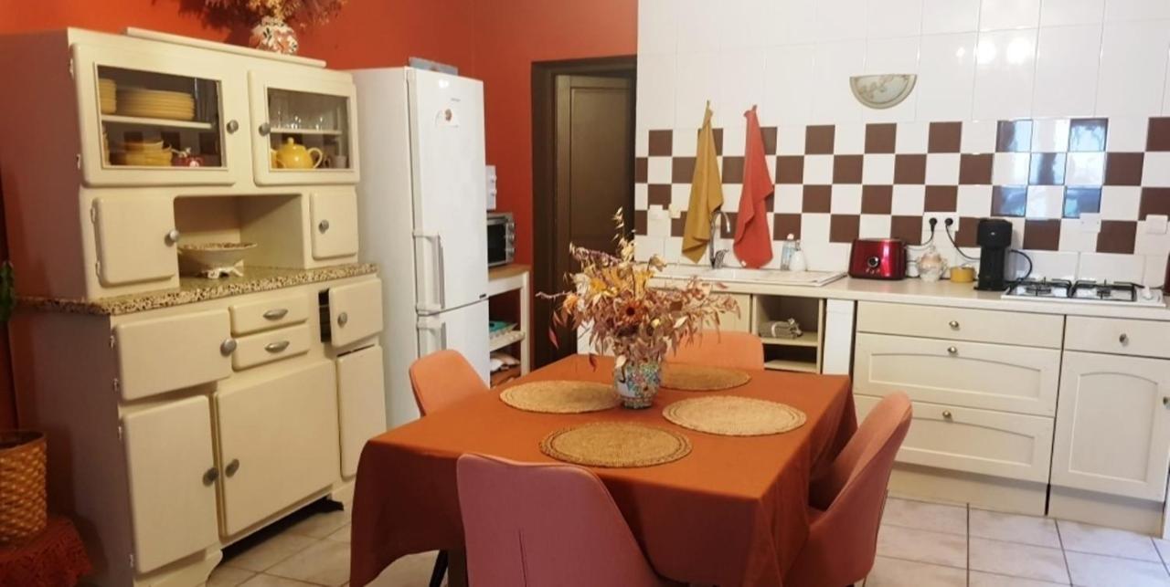 Petit Patio En Centre Ville Nîmes Zewnętrze zdjęcie